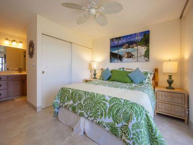 Wailea Condo 878529